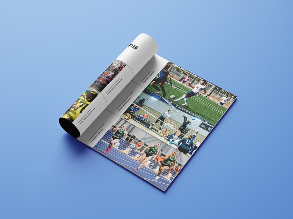 Brochure & Catalogue — image 1